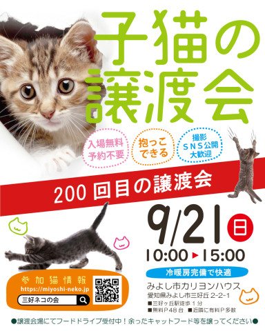まだまだ子猫まつり★みよし市
