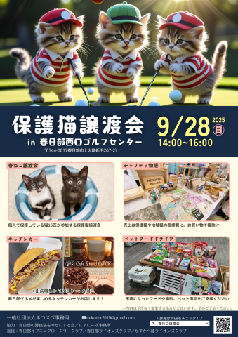 春日部保護猫譲渡会