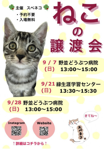9/21 保護猫譲渡会 名古屋市緑区