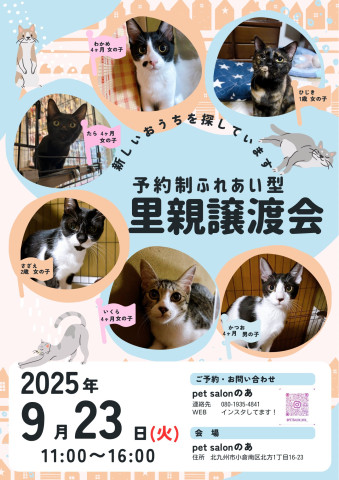 ふれあい型里親譲渡会