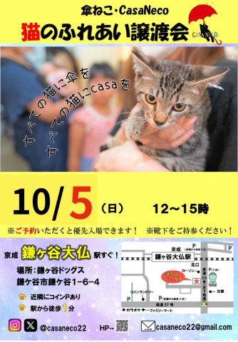 傘ねこふれあい譲渡会（＠鎌ヶ谷）