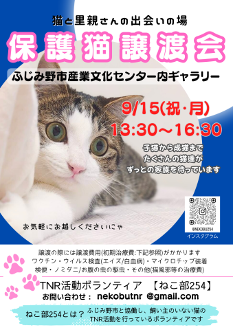 保護猫譲渡会