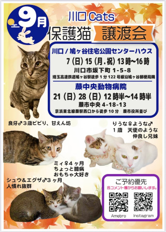 川口ｃａｔ'ｓ保護猫譲渡会