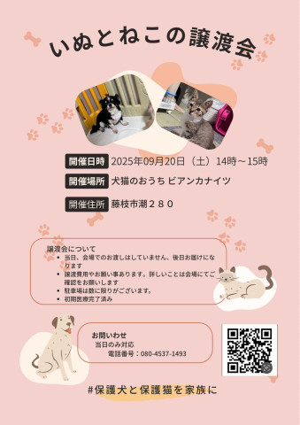保護猫＆保護犬の譲渡会