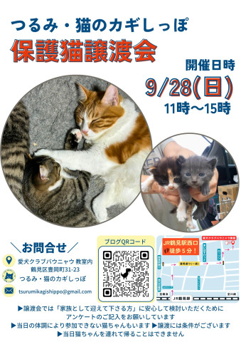 つるみ・猫のカギしっぽ譲渡会　JR鶴見駅西口歩5分室内開催