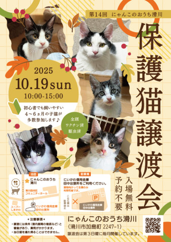 第14回　保護ねこ譲渡会＆プチフリマ
