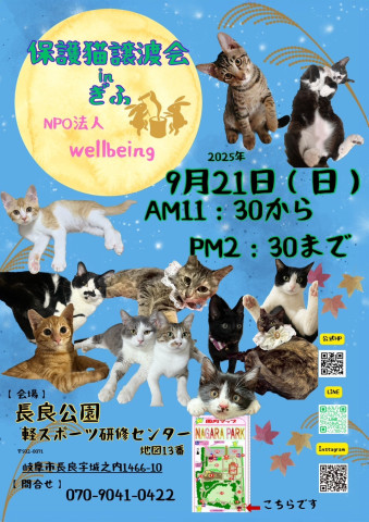 保護猫譲渡会inぎふ