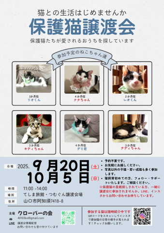保護猫譲渡会