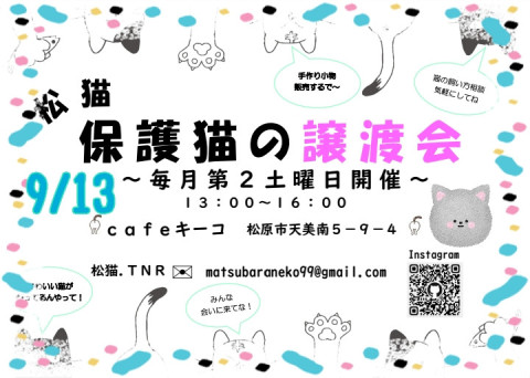 松猫 保護猫の譲渡会
