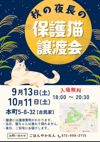 秋の夜長の保護ねこ譲渡会