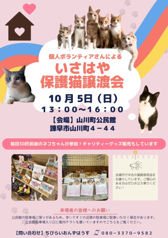 個人ボランティアさんによるいさはや保護猫譲渡会