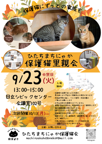 ひたちまちにゃか保護猫里親会