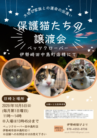 Pets clover猫の譲渡会