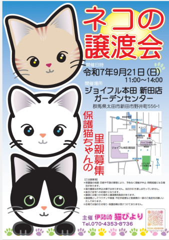 ジョイフル本田保護猫の譲渡会