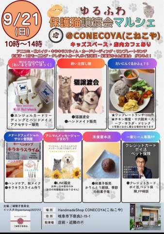 猫譲渡会in CONECOYA