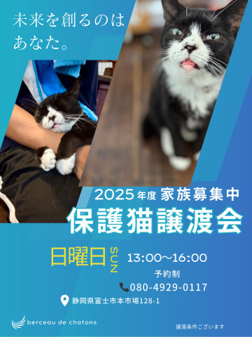 NPO法人子猫園ベルソーデシャトンズ