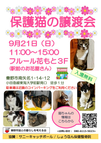 猫の譲渡会＠秦野市