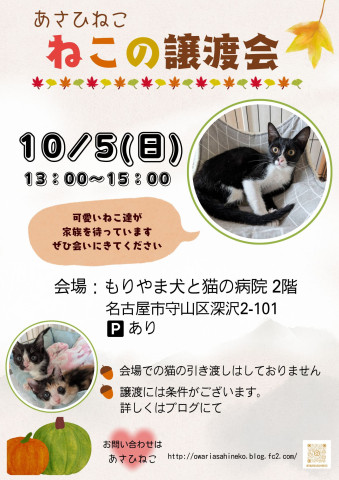 ねこの譲渡会 inもりやま犬と猫の病院