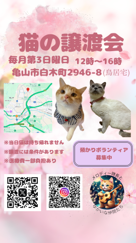 猫の譲渡会