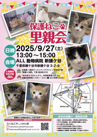 鎌ケ谷開催！保護ねこ里親会