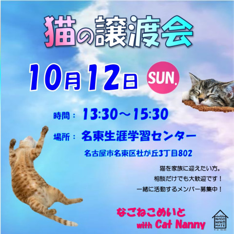 なごねこめいと　猫の譲渡会