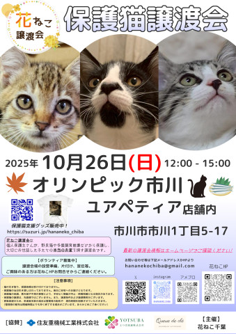 花ねこ譲渡会