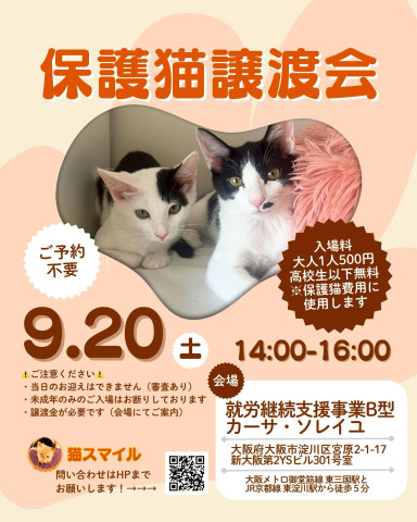 ねこの譲渡会＠新大阪