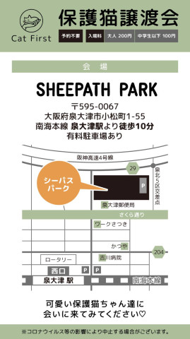 9/28第80回 Cat First 譲渡会開催のお知らせ