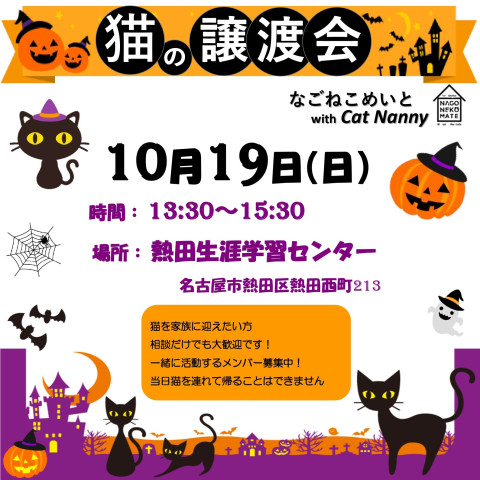 名古屋　猫の譲渡会