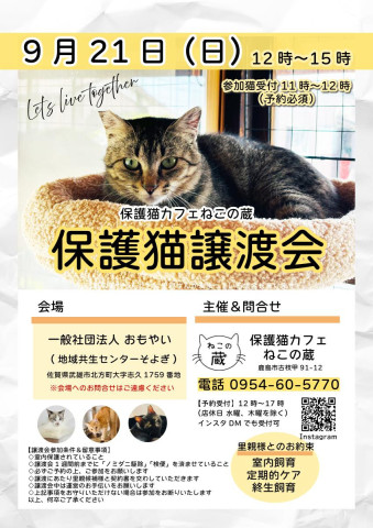 保護猫カフェねこの蔵 保護猫譲渡会