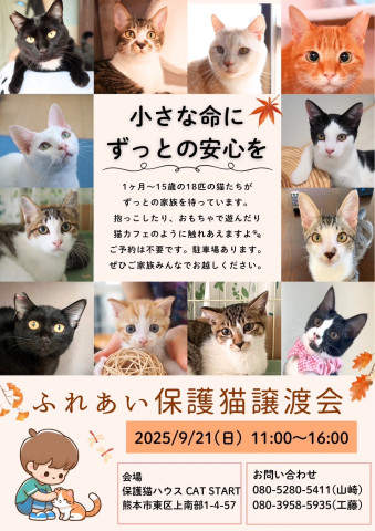 ふれあい保護猫譲渡会