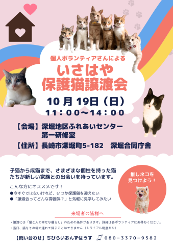 個人ボランティアさんによるいさはや保護猫譲渡会