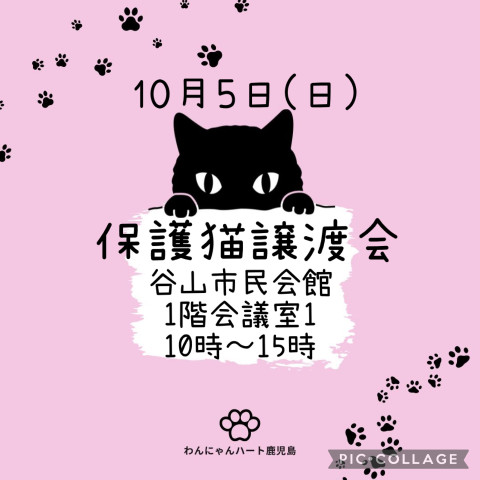 わんにゃんハート　譲渡会