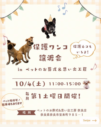 保護犬猫の譲渡会