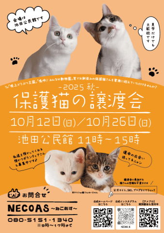 10月も2回開催！　NECOAS　譲渡会　静岡市駿河区