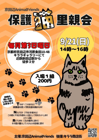 京田辺市：保護猫の里親会（譲渡会）