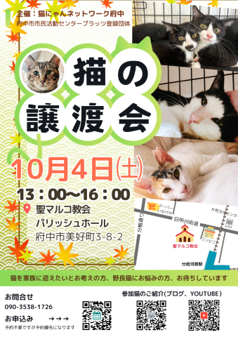 猫にゃんネットワーク府中{保護猫の譲渡会} 