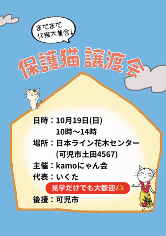 保護猫譲渡会in花木センター 20251019