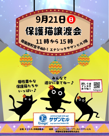 サザンヒル　保護猫譲渡会