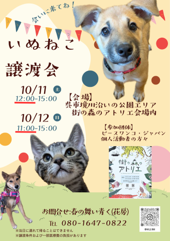 いぬねこ譲渡会