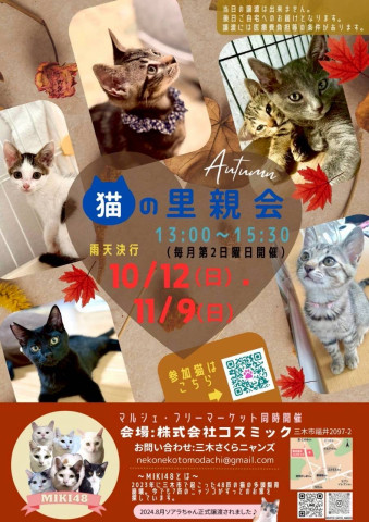 猫の里親会