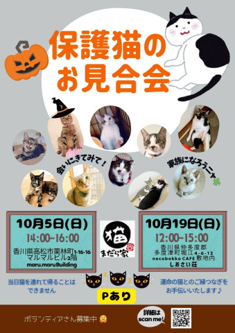 まだら家🍀保護猫のお見合い会