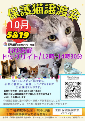 保護猫譲渡会Cat'seye