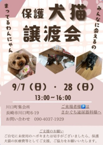 長崎市川口町譲渡会
