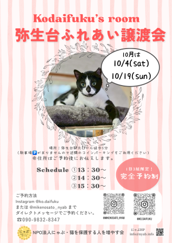 にゃぶ 弥生台ふれあい譲渡会