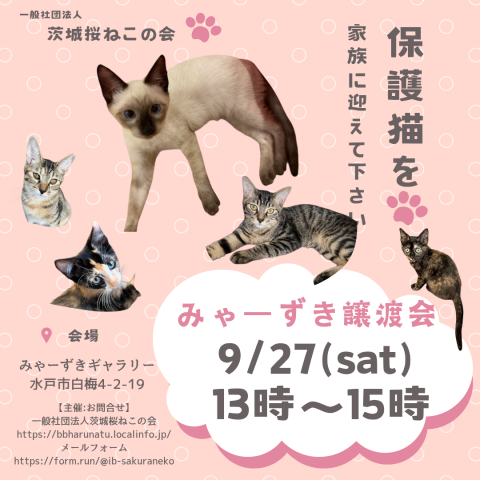 みゃーずき譲渡会