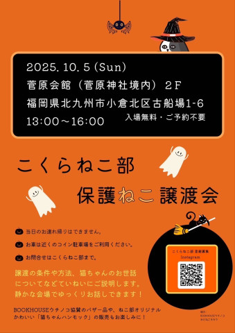 こくらねこ部保護ねこ譲渡会