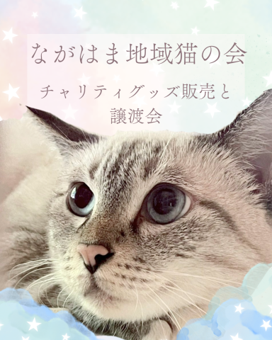 譲渡会@「あまおう10分の5」イベント内