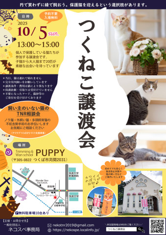 つくねこ譲渡会