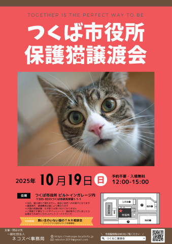 つくば市役所保護猫譲渡会